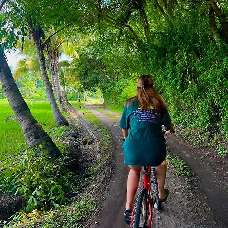Rinjani Beach Eco Resort Tanjung  Екстериор снимка