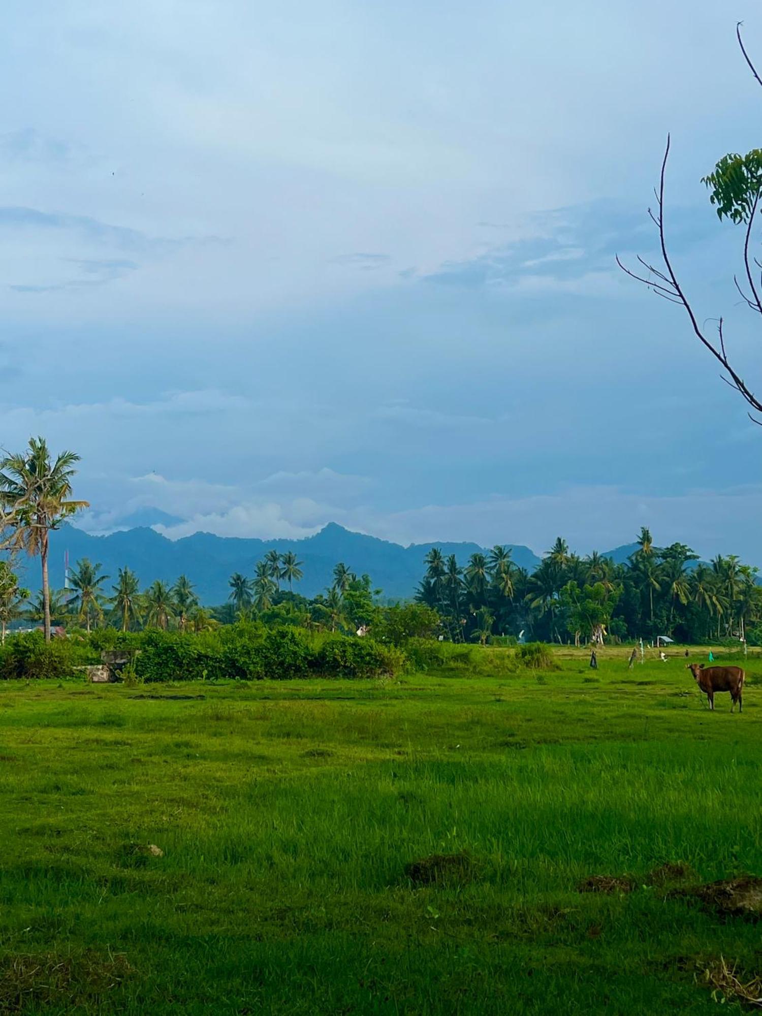 Rinjani Beach Eco Resort Tanjung  Екстериор снимка