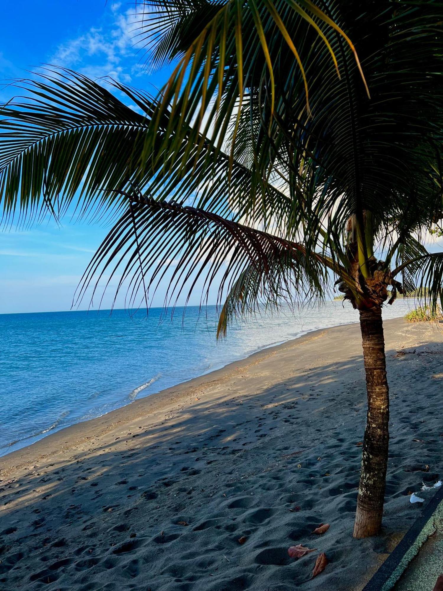 Rinjani Beach Eco Resort Tanjung  Екстериор снимка